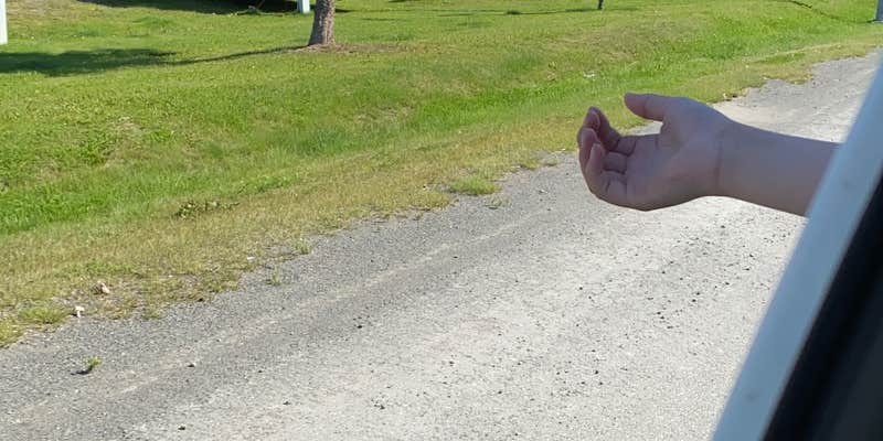 Camper submitted image from Edgewater Lodge and RV Resort