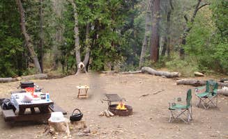 Tina B.'s photo at Chilcoot Family Campground near Loyalton, CA