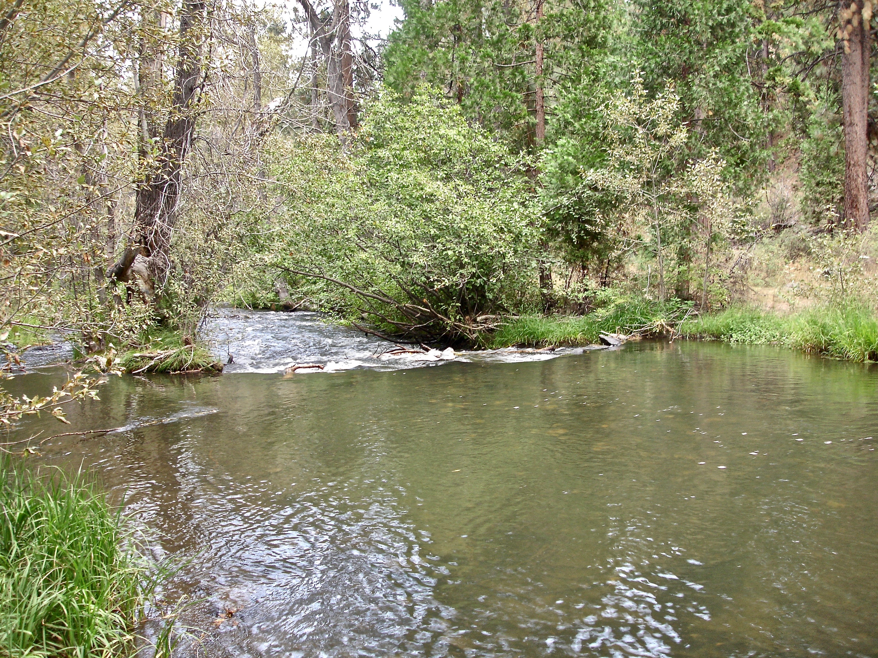 The beautiful creek.
