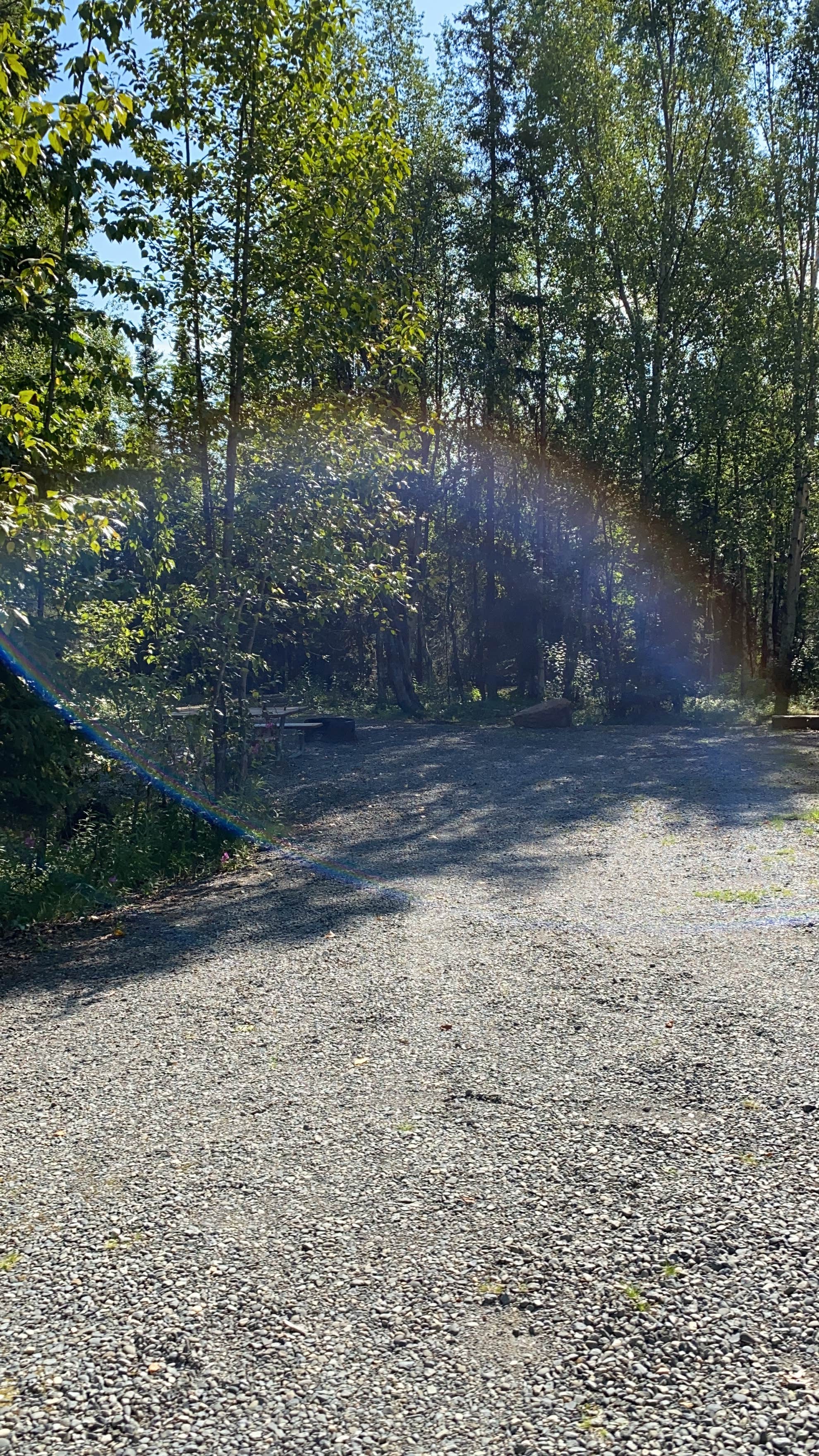 Tanya B.'s photo at Morgans Landing State Rec Area near Kenai National Wildlife Refuge