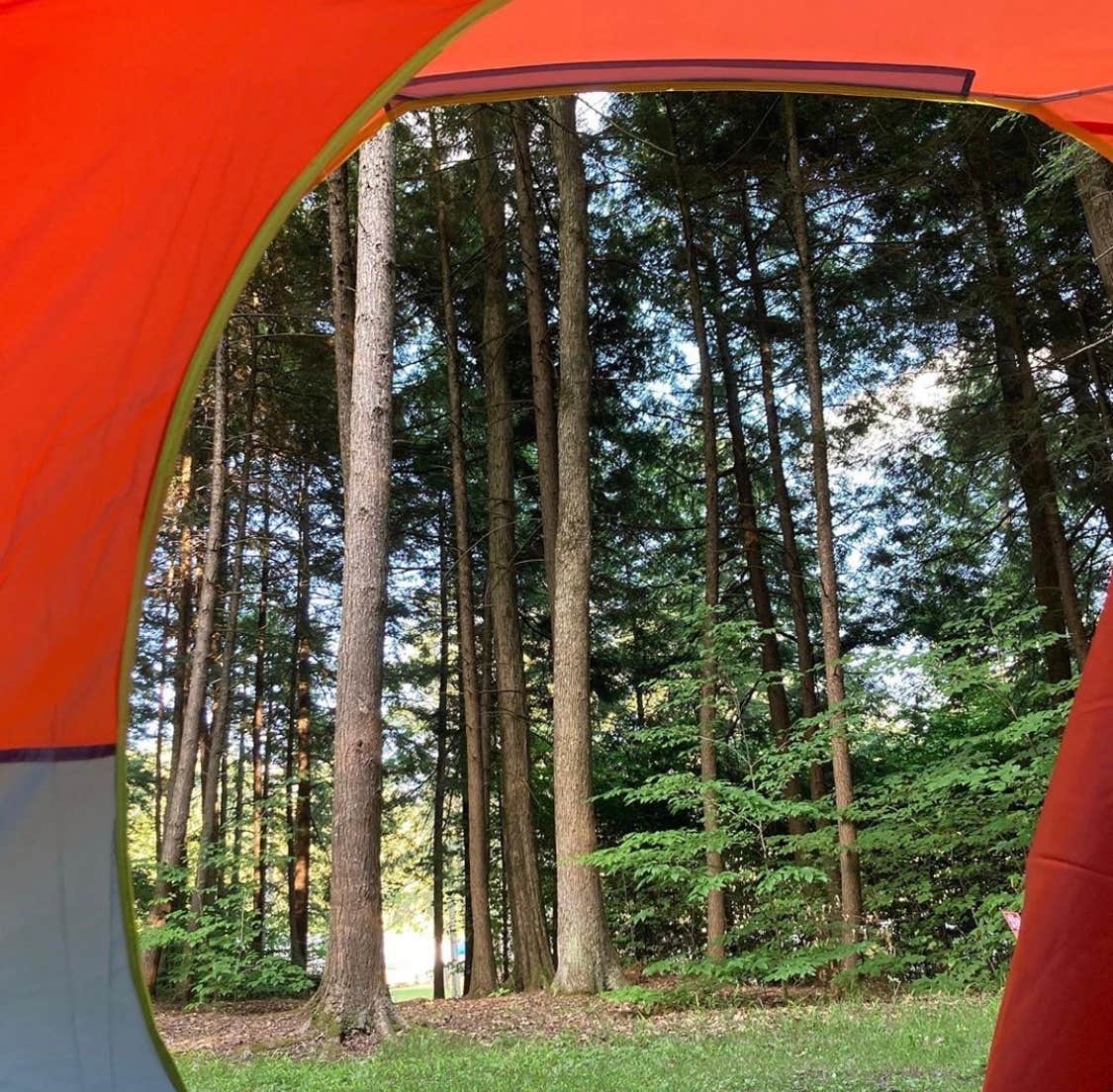 Natalie B.'s photo at Cook Forest State Park Campground & Cabins near Clarion, PA