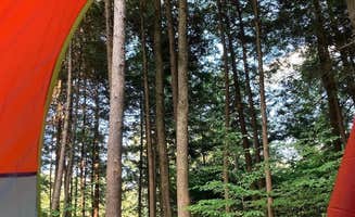 Natalie B.'s photo at Cook Forest State Park Campground & Cabins near Emlenton, PA