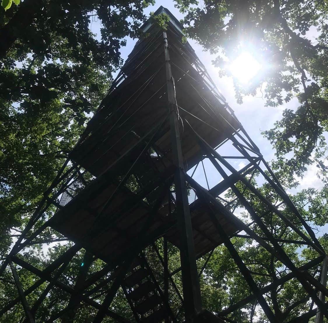 Natalie B.'s photo of a cabin at Cook Forest State Park Campground & Cabins near Sigel, PA