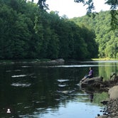 Review photo of Cook Forest State Park Campground by Natalie B., August 16, 2020