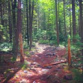 Review photo of Hickory Run State Park Campground by Natalie B., August 16, 2020