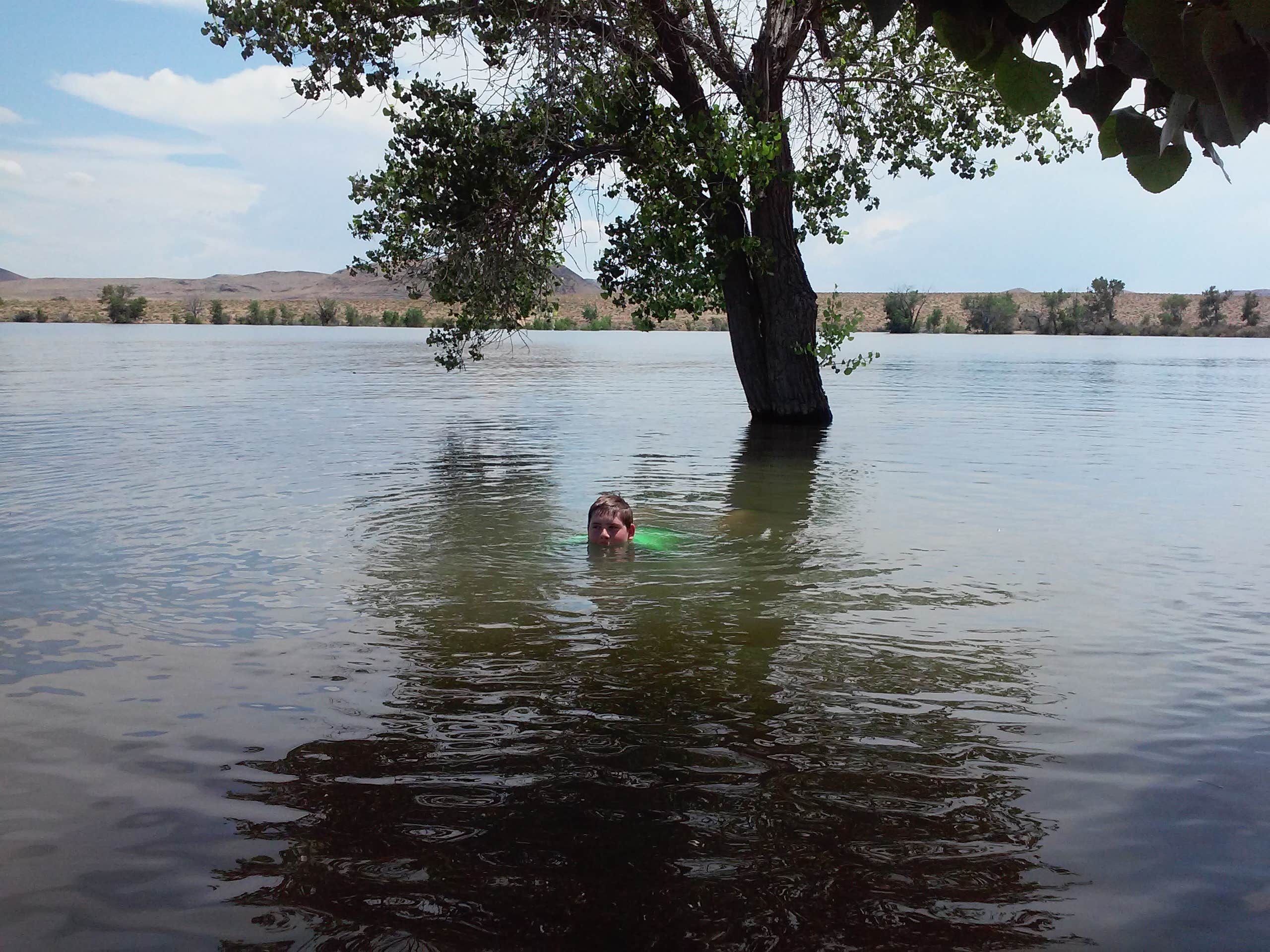 Camper-submitted photo at River Camp — Lahontan State Recreation Area near Fallon, NV