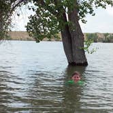 Review photo of River Camp — Lahontan State Recreation Area by Tina B., April 29, 2018