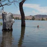 Review photo of River Camp — Lahontan State Recreation Area by Tina B., April 29, 2018