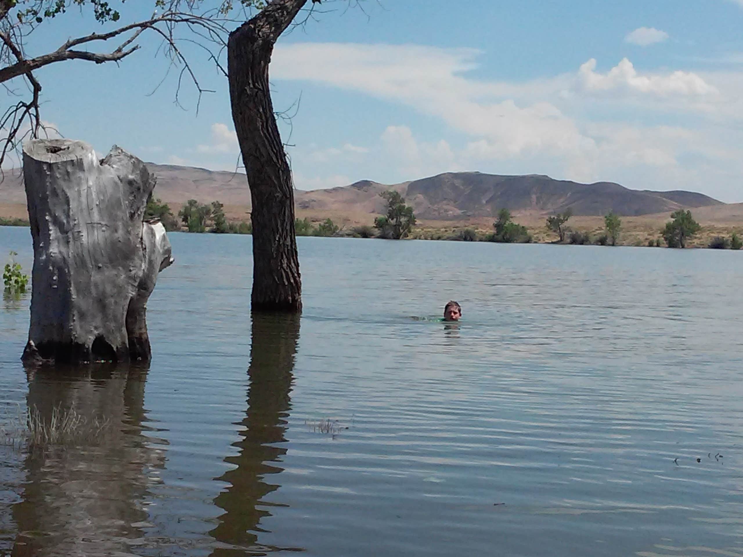 Camper submitted image from River Camp — Lahontan State Recreation Area - 1