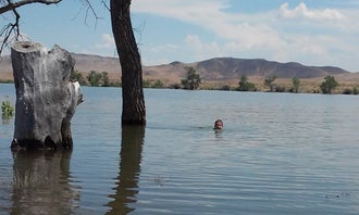 Camping near Fernley RV Park: River Camp — Lahontan State Recreation Area, Silver Springs, Nevada