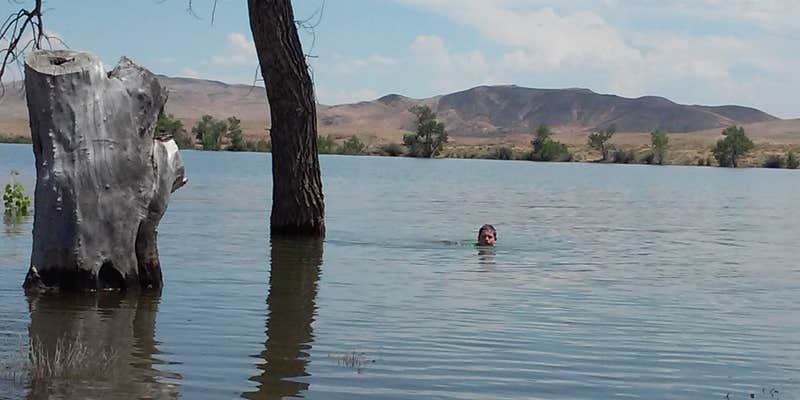 Camper submitted image from River Camp — Lahontan State Recreation Area