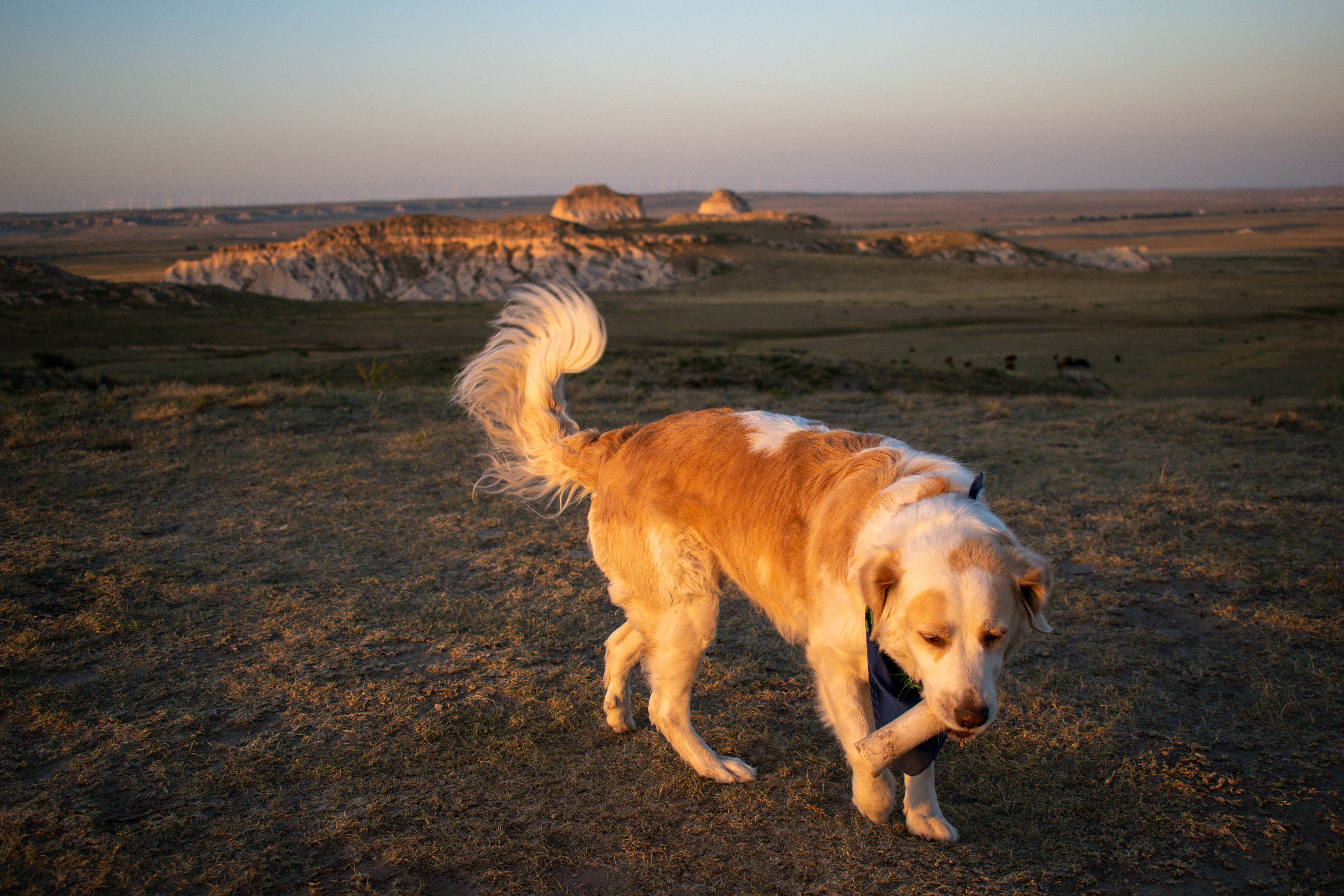 Camper submitted image from Pawnee Buttes - Dispersed Camping - 3