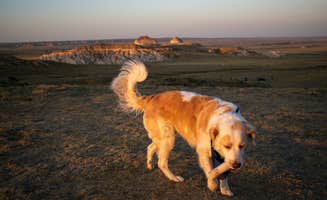 Nathan  P.'s photo of camping with pets at Pawnee Buttes - Dispersed Camping near Fort Morgan, CO