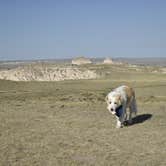 Review photo of Pawnee Buttes - Dispersed Camping by Nathan  P., August 16, 2020