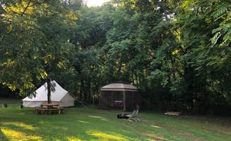 Farar R.'s photo at Large Bell Tent on the Kings River near Kingston, AR