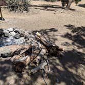 Review photo of Mid Hills Campground — Mojave National Preserve by Peter A., April 30, 2018