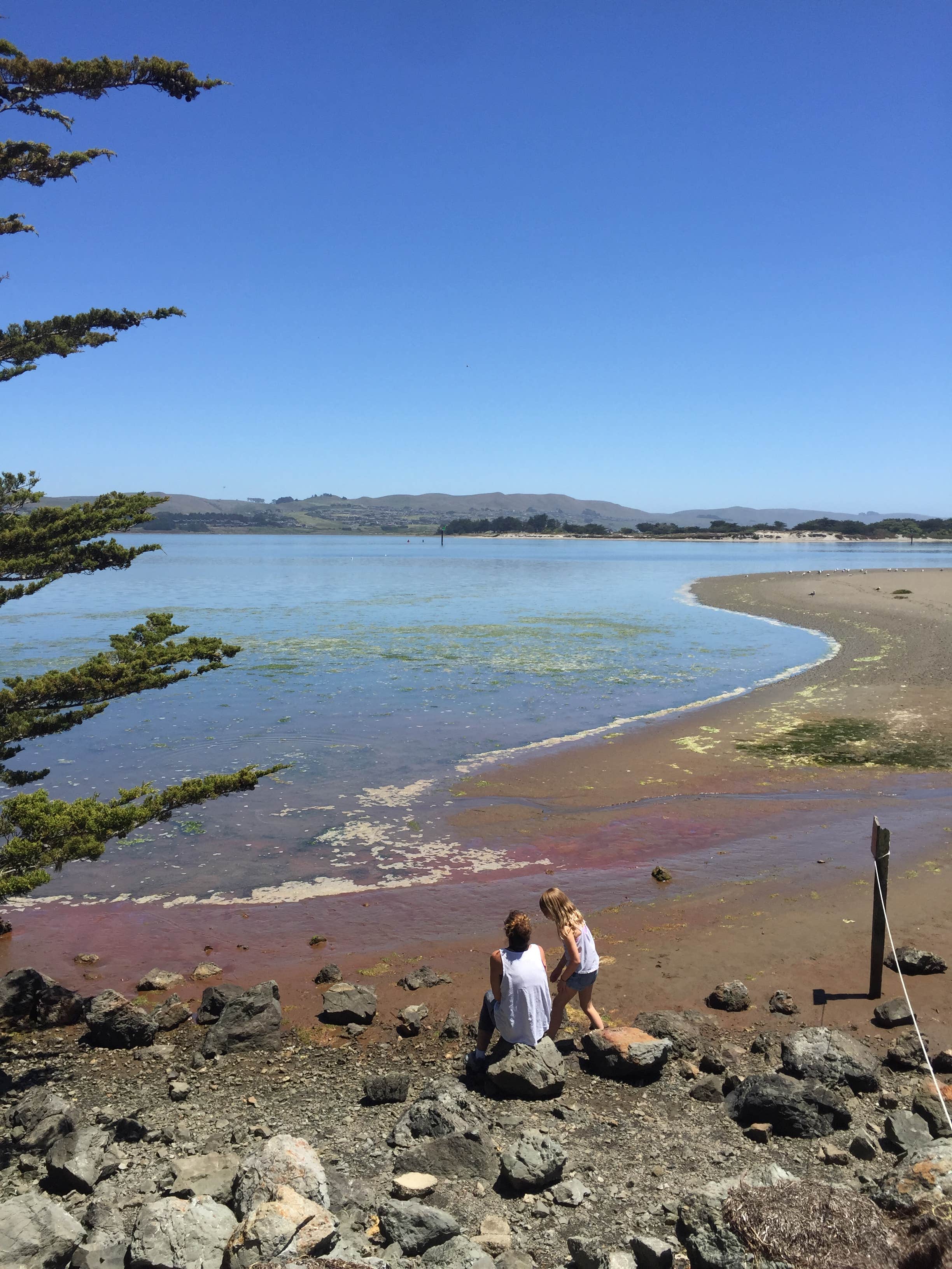 Westside Regional Park The Dyrt