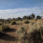 Review photo of Mid Hills Campground — Mojave National Preserve by Peter A., April 30, 2018