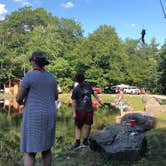 Review photo of Prospect Mountain Campground and RV Park by Megin F., August 16, 2020