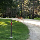 Review photo of Oxbow County Park by J.J.  F., August 16, 2020