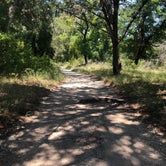 Review photo of Lost Maples State Natural Area by Chey V., August 16, 2020