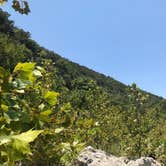 Review photo of Lost Maples State Natural Area by Chey V., August 16, 2020