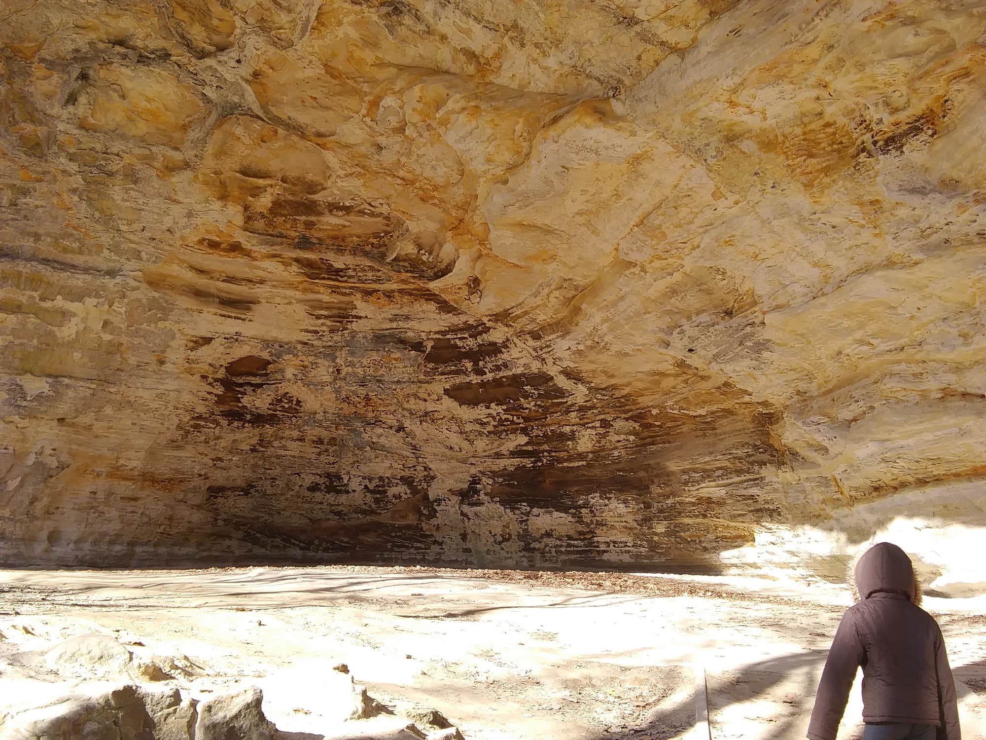 starved rock campgrounds in illinois