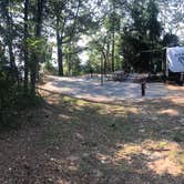 Review photo of Hardridge Creek Campground by Tony C., August 16, 2020