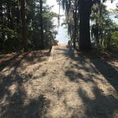 Review photo of Hardridge Creek Campground by Tony C., August 16, 2020