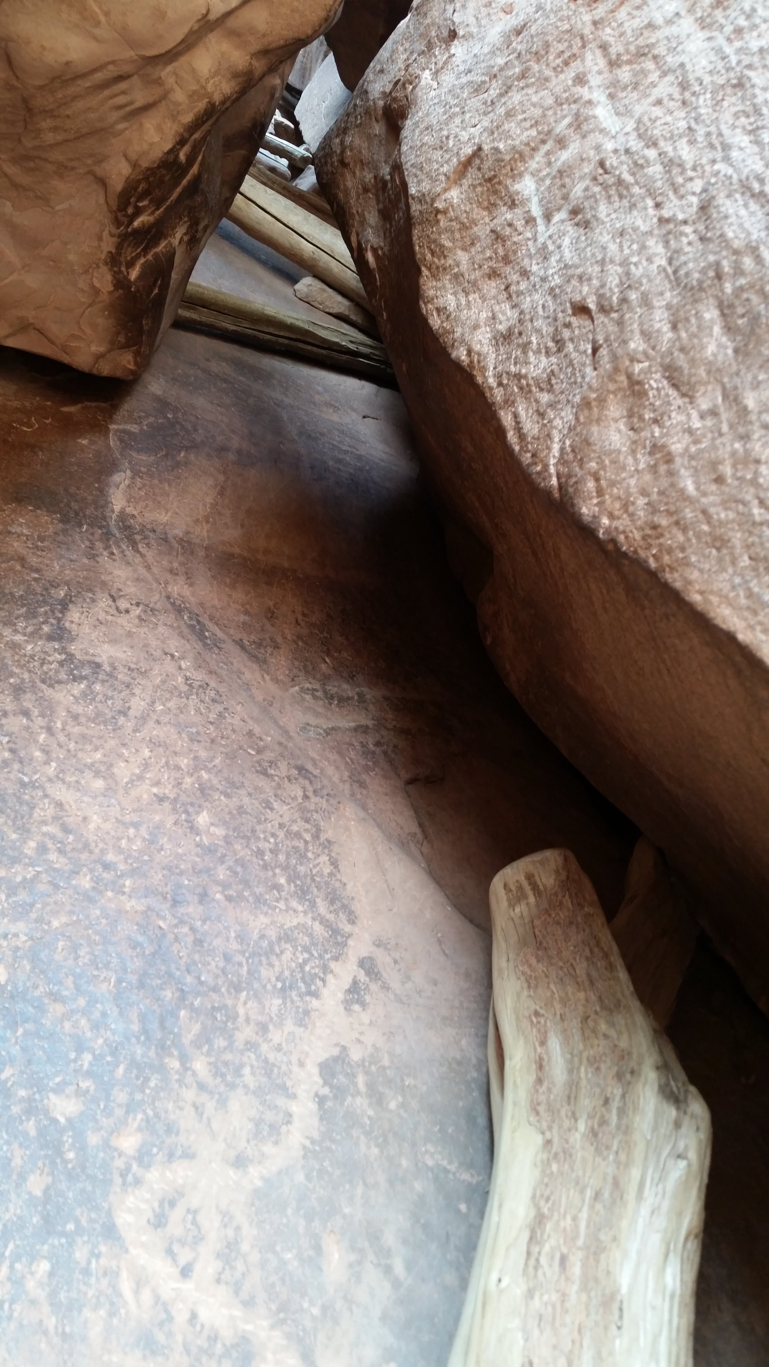 Ancient Indian ladder in a crack in the rock.