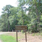 Review photo of Hardridge Creek Campground by Tony C., August 16, 2020