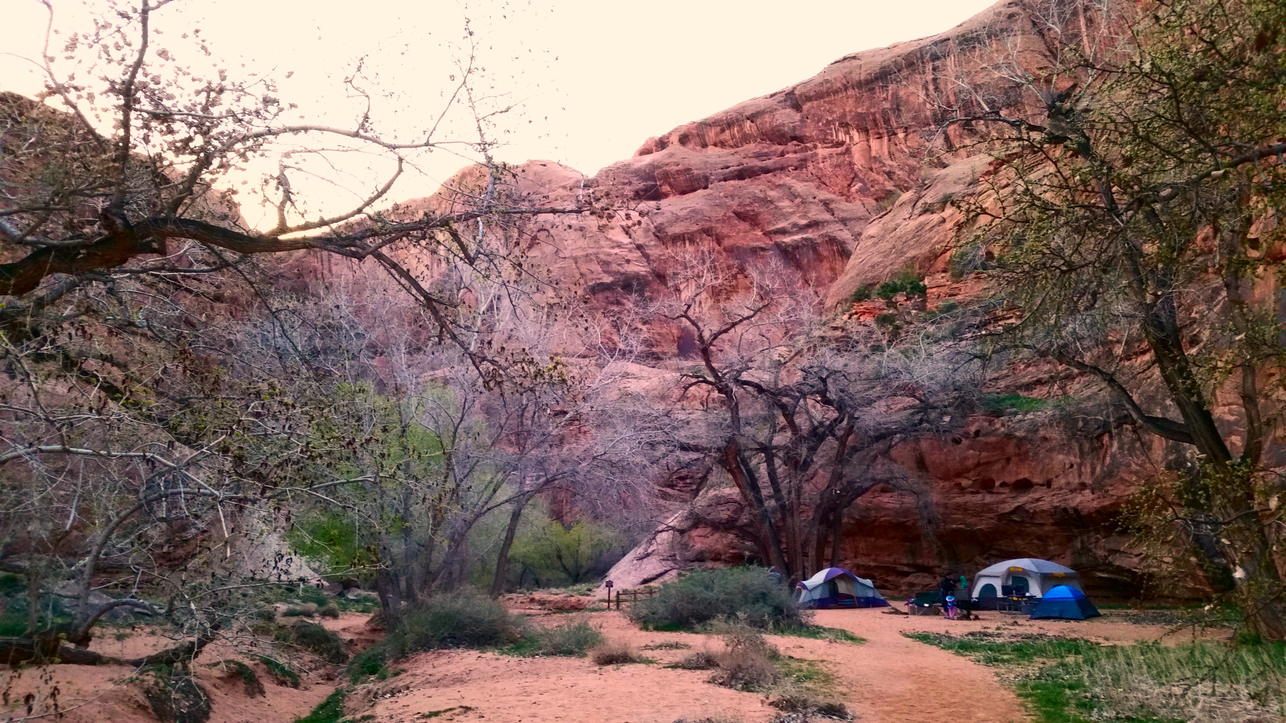 Our campsite at the foot of the cliffs.