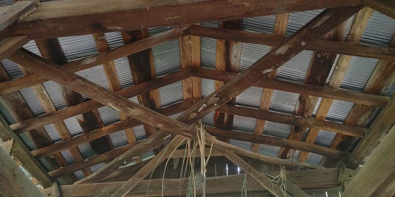 Camper submitted image from Sawmill (Campground D) — Jesse Owens State Park