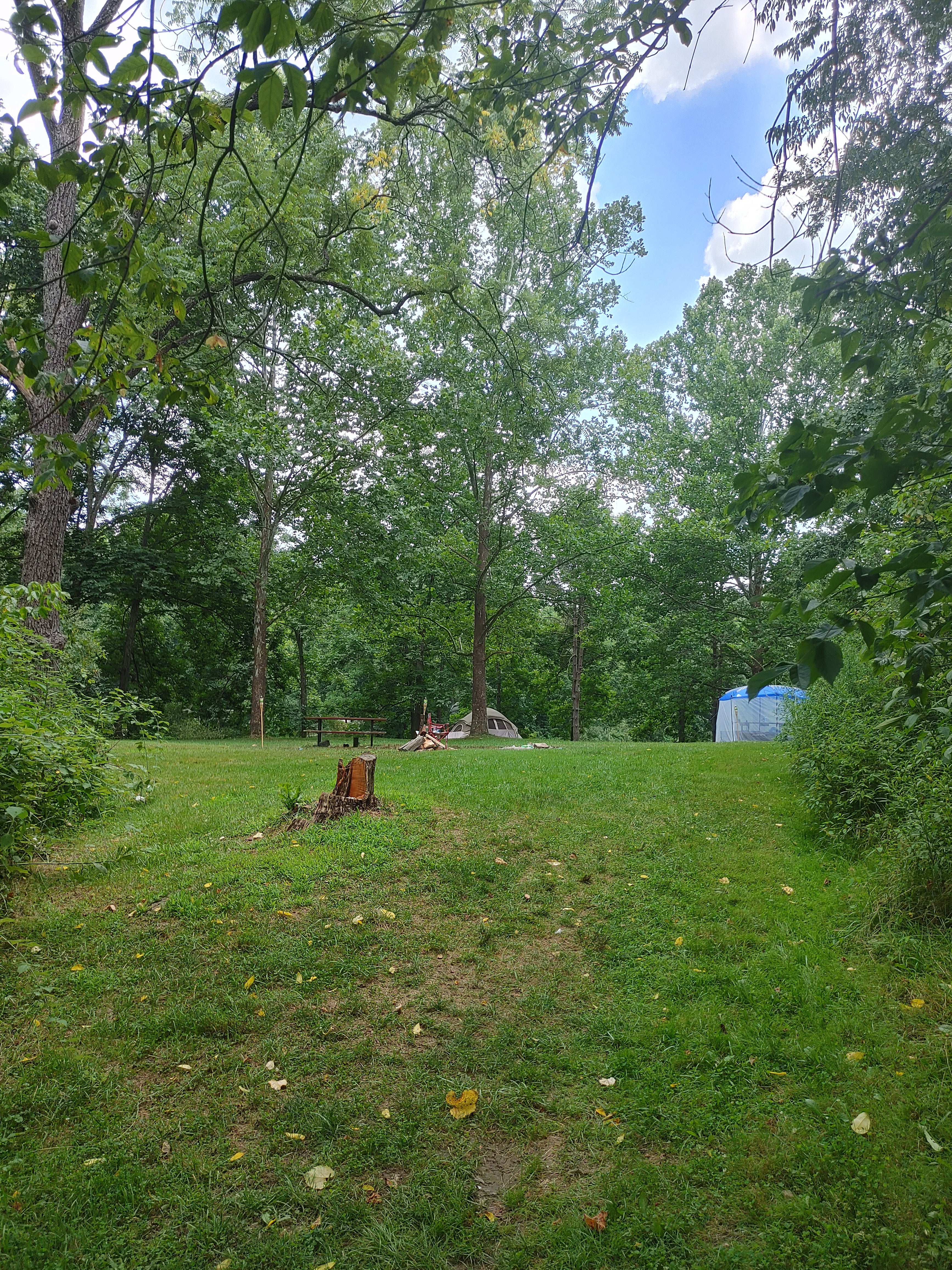 Camper submitted image from Sawmill (Campground D) — Jesse Owens State Park - 2