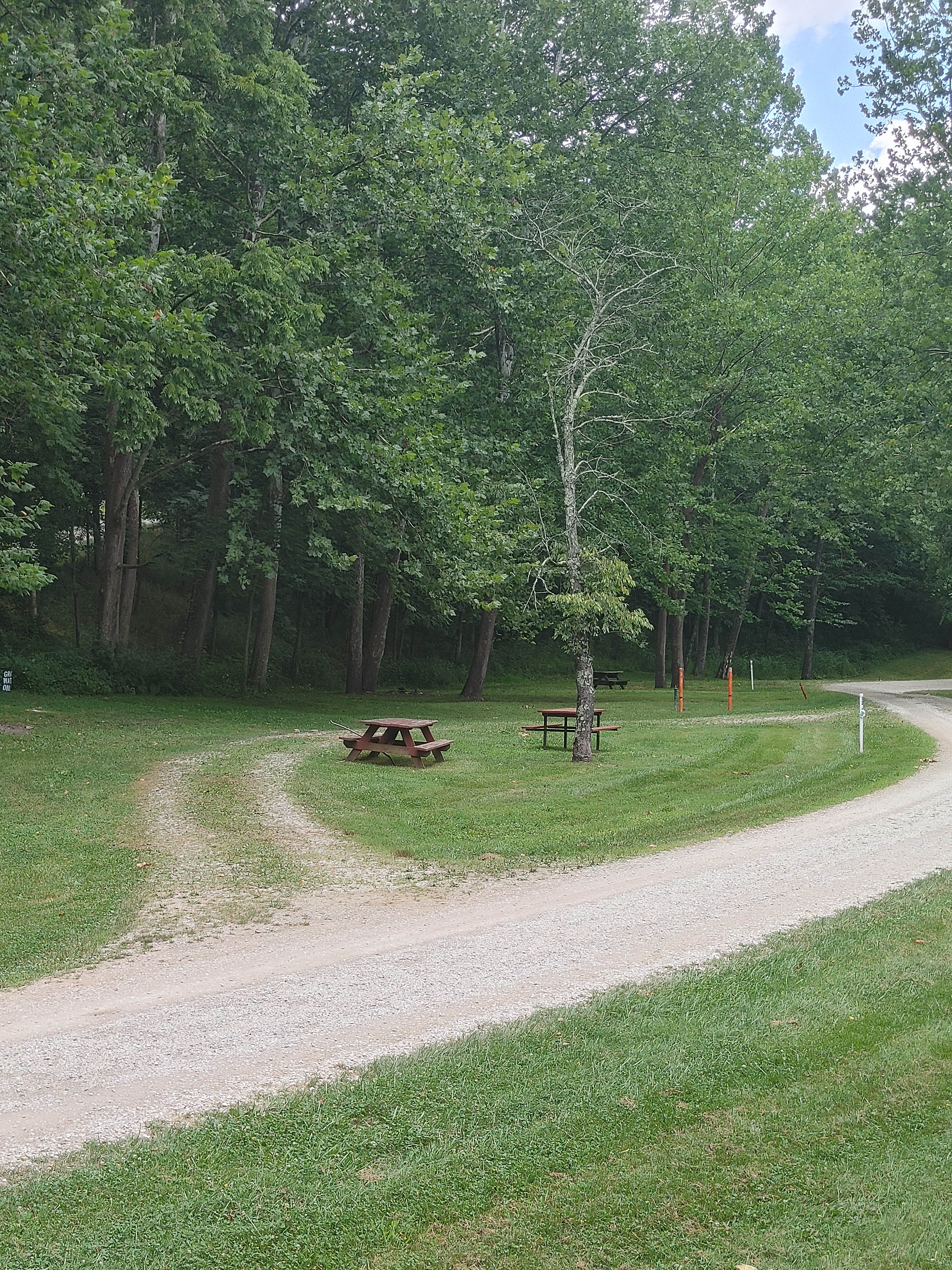 Camper submitted image from AEP ReCreation Sawmill Road Campsite (D on paper map) at 10390 North Street Route 83 McConnelsville Ohio 43756 - 5