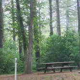 Review photo of Sawmill (Campground D) — Jesse Owens State Park by Kenpocentaur K., August 16, 2020