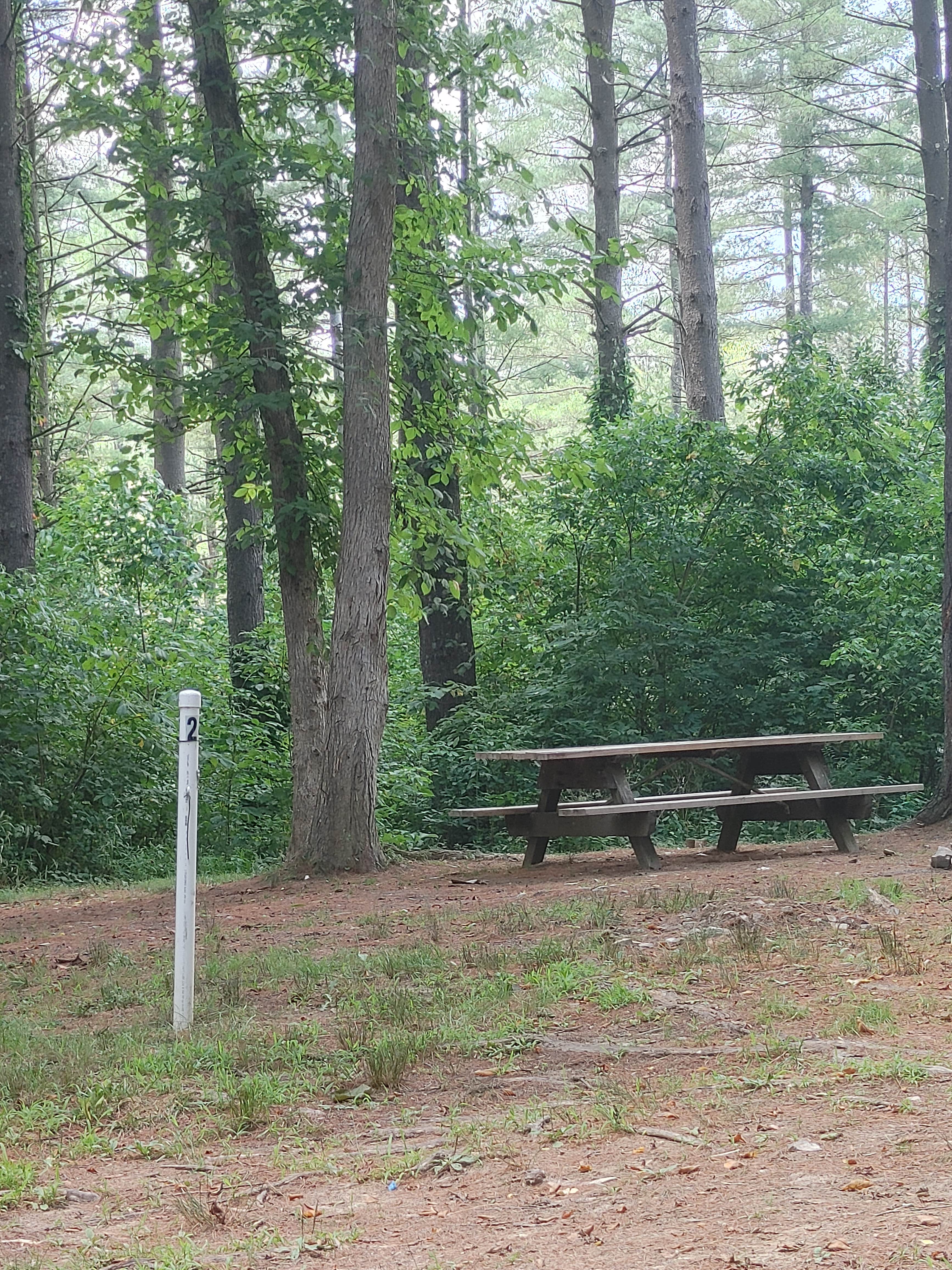 Camper submitted image from Sawmill (Campground D) — Jesse Owens State Park - 3