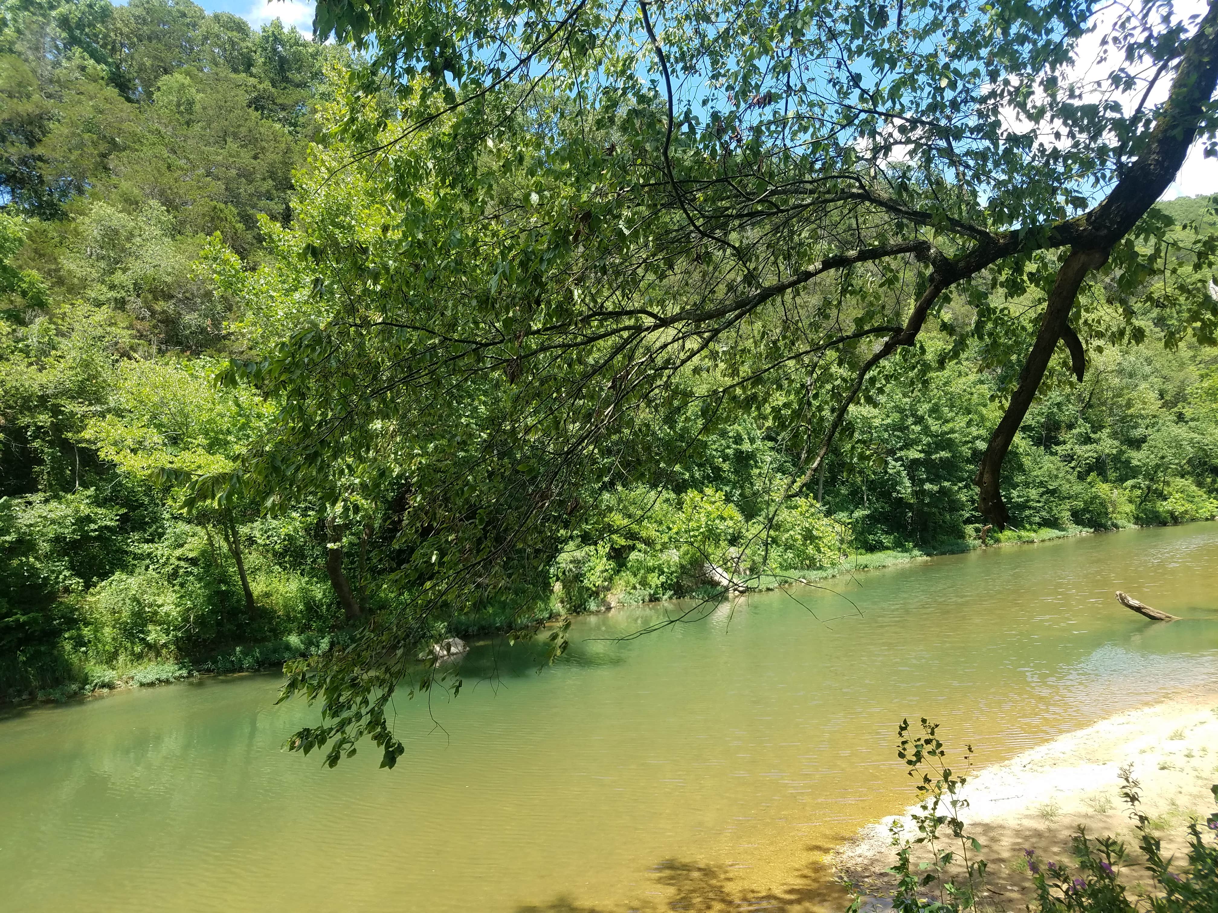 Camper submitted image from Large Bell Tent on the Kings River - 4