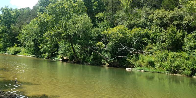 Camper submitted image from Large Bell Tent on the Kings River