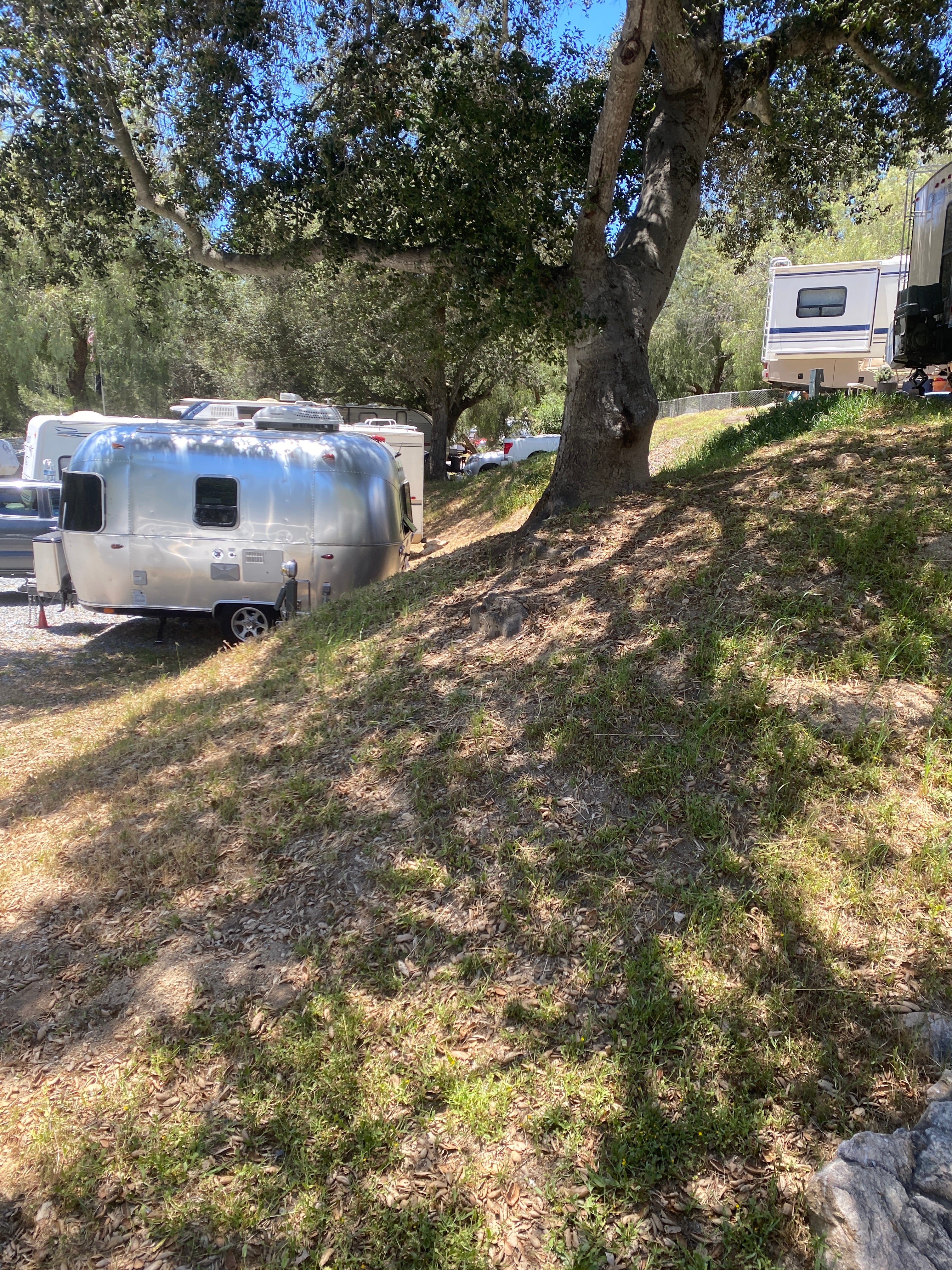 Camper submitted image from Ramona Oaks RV Resort - 2