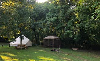 Farar R.'s photo at Large Bell Tent on the Kings River near Huntsville, AR