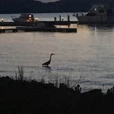 Review photo of Lake Guntersville State Park Campground by Clay M., August 16, 2020