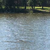 Review photo of Lakepoint Resort State Park Campground by Clay M., August 16, 2020