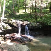 Review photo of Frozen Head State Park Campground by Crissy T., August 16, 2020