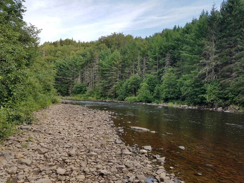 Camper submitted image from Sturgeon River Campground - 4