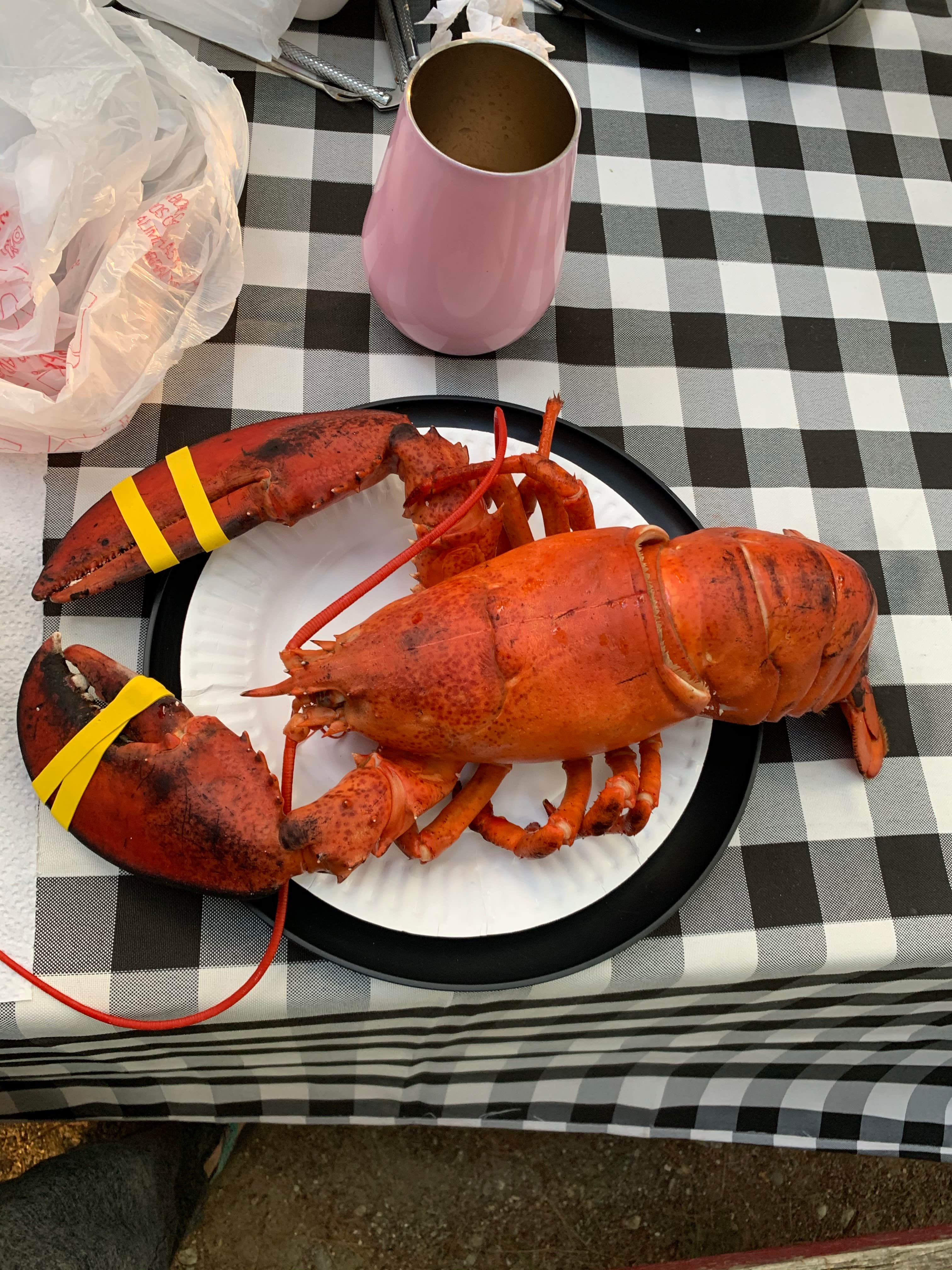 Camper-submitted photo at Meadowbrook Camping near Boothbay Harbor, ME