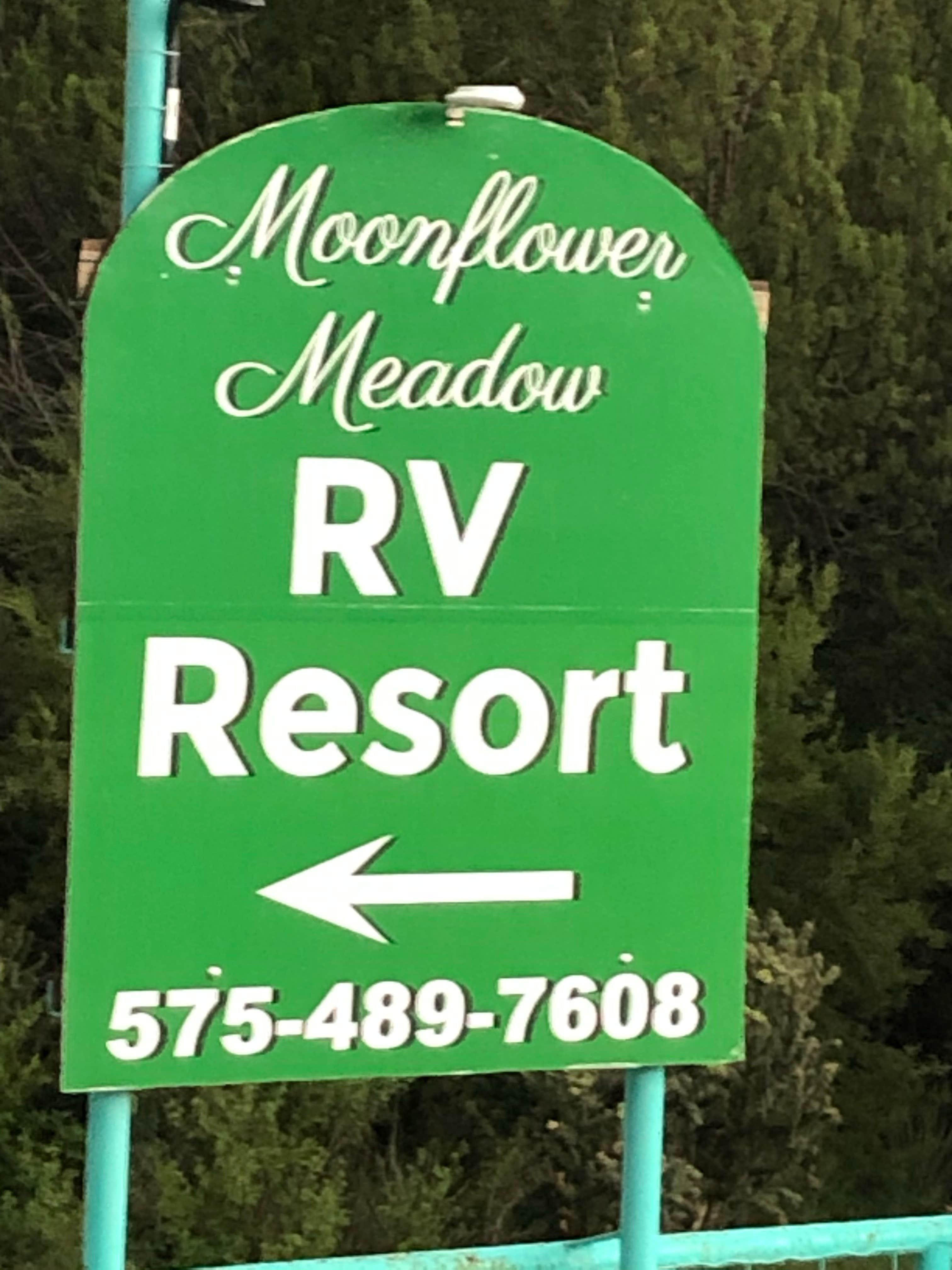 Camper submitted image from Moonflower Meadows RV Resort - 4
