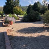 Review photo of Moonflower Meadows RV Resort by Kathy C., August 16, 2020
