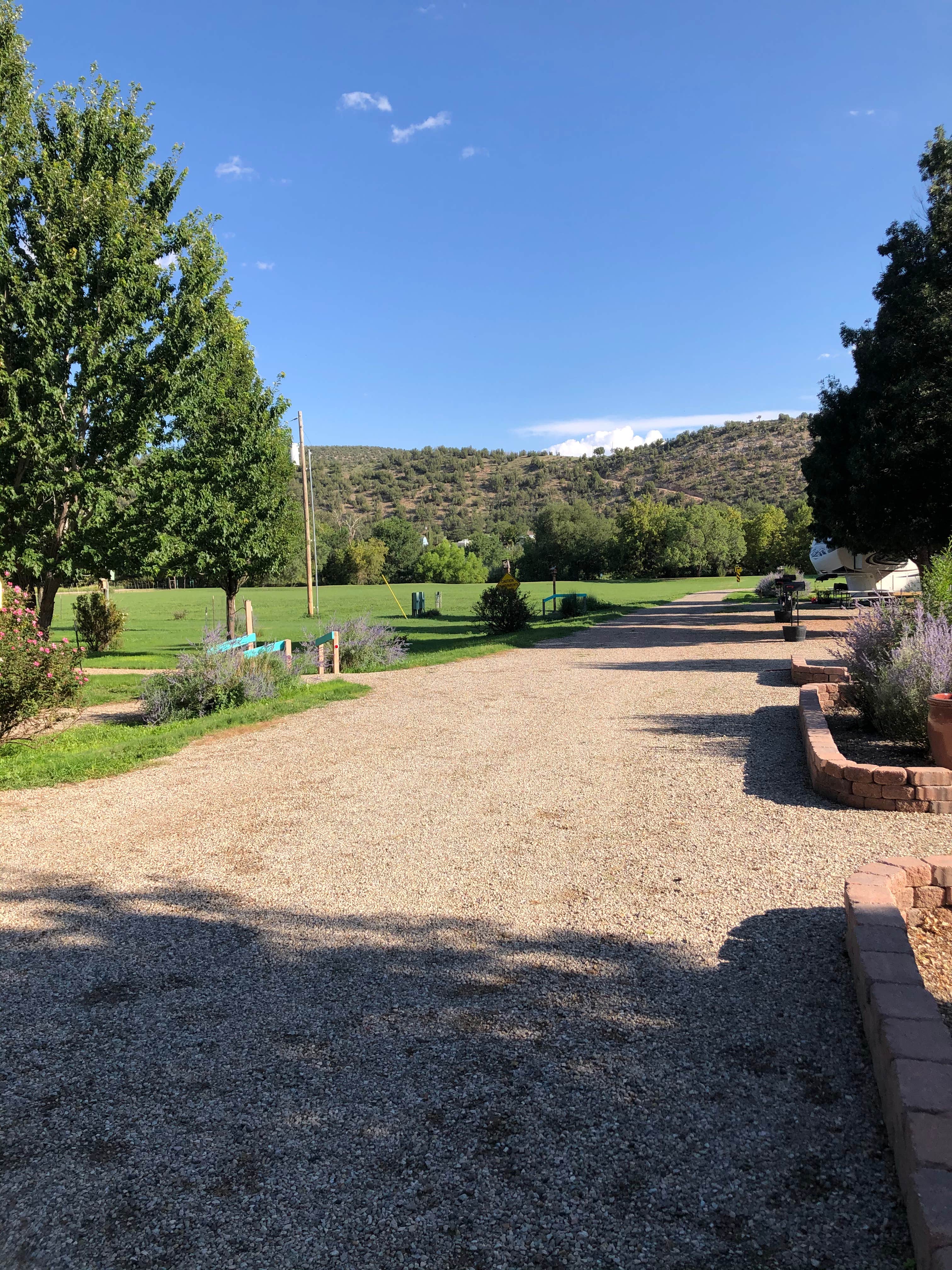 Camper submitted image from Moonflower Meadows RV Resort - 5