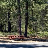 Review photo of Walt Haring Sno-Park & Campground by Skyeriver  ., August 16, 2020